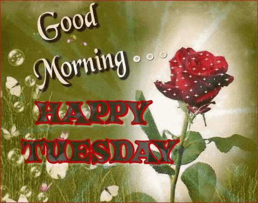 a good morning and happy tuesday card with a rose
