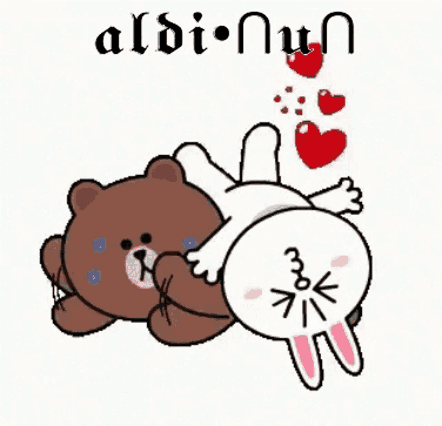 a brown bear and a white rabbit are laying next to each other on a white background .