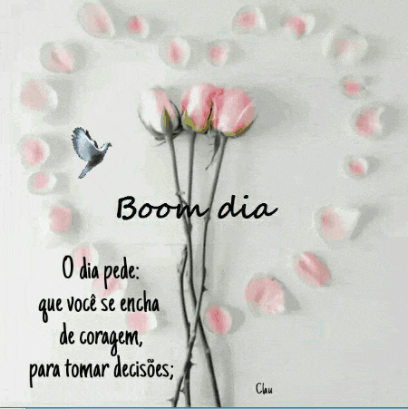a bunch of pink flowers with the words boom dia written on it