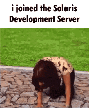 a woman is kneeling down with the words i joined the solaris development server