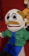 a person is holding a puppet with a mustache and a green shirt .