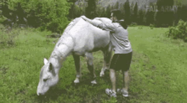 a man is hugging a white horse in a field with fail army written in the background