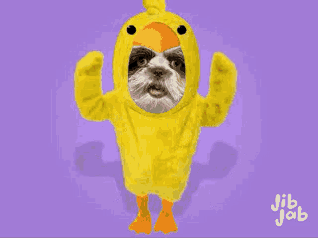 a dog in a yellow duck costume with jib jab written below it