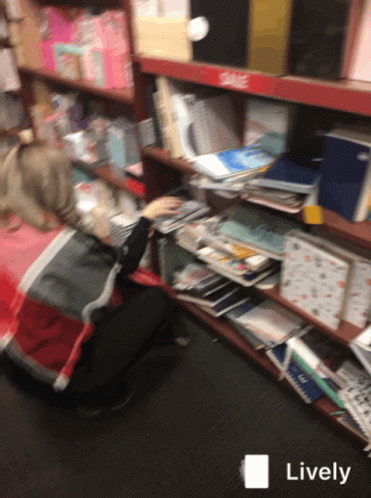 Book Library GIF - Book Library Books GIFs