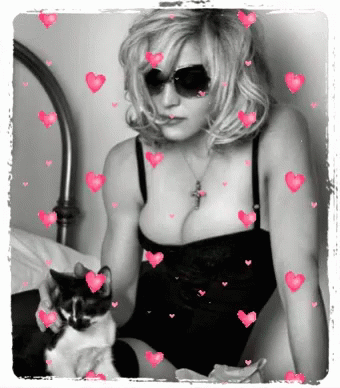 Madonna Cat GIF - Madonna Cat Cat Love GIFs