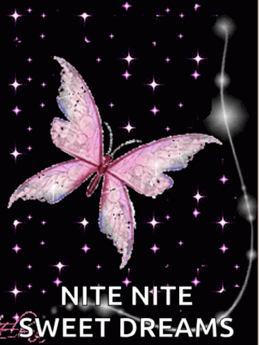 Nite Butterflies GIF - Nite Butterflies Sparkles GIFs