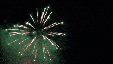 a fireworks display is going off in the night sky .