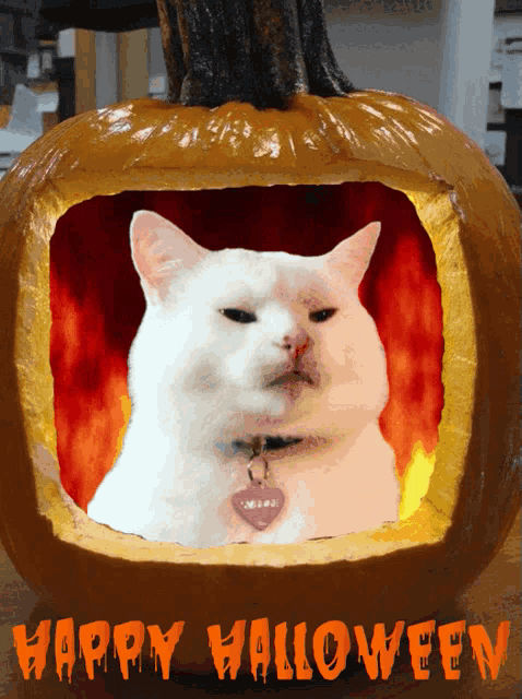 a white cat is carved into a pumpkin with the words happy halloween written on the bottom