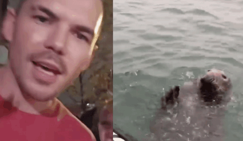 a man is talking to a seal in the water .