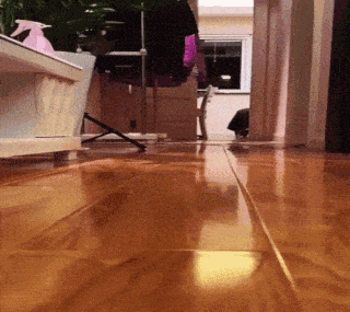 Silly Baby Cat Kitty GIF - Silly Baby Cat Silly Kitty GIFs