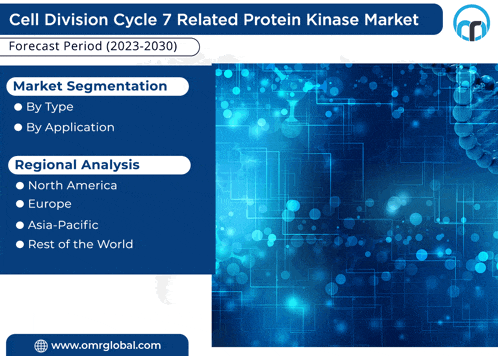 a blue background with the words cell division cycle 7 related protein kinase market