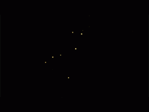 Constellation Tiger GIF - Constellation Tiger GIFs