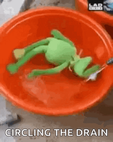 a stuffed frog is laying in a bowl of water with the words circling the drain written below it .