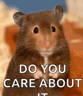 a hamster is standing on its hind legs and looking at the camera .