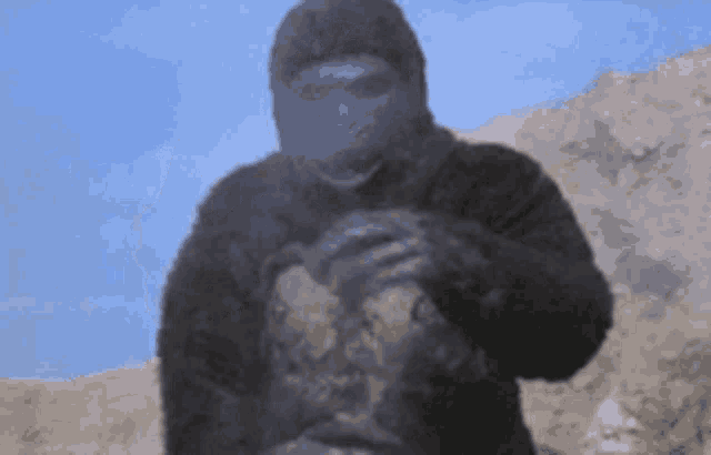 a gorilla is holding a rock in his hands in front of a mountain .
