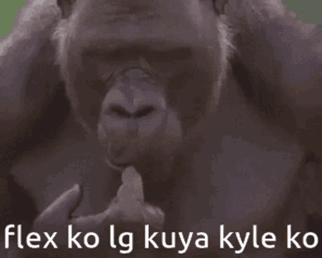 Monkey Flex GIF - Monkey Flex Kuya Kyle GIFs