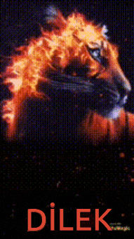 a poster with a lion and the word dilek
