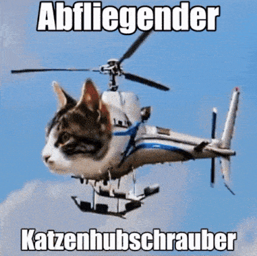 a cat is flying in a helicopter with the caption abfliegender