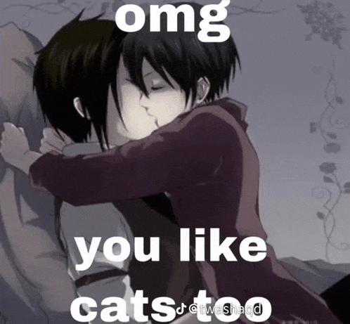 a couple kissing with the words omg you like cats too on the bottom