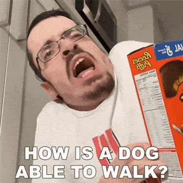 How Is A Dog Able To Walk Ricky Berwick GIF - How Is A Dog Able To Walk Ricky Berwick How Can A Dog Move GIFs