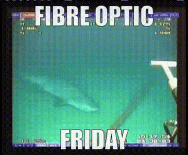 Fibre Optic Friday GIF - Fibre Optic Friday GIFs