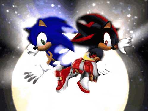 sonic the hedgehog and shadow the hedgehog are standing next to each other on a white background