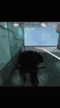 a shadow of a person is visible in a room