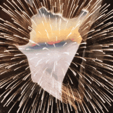 a fireworks display with a seashell in the middle