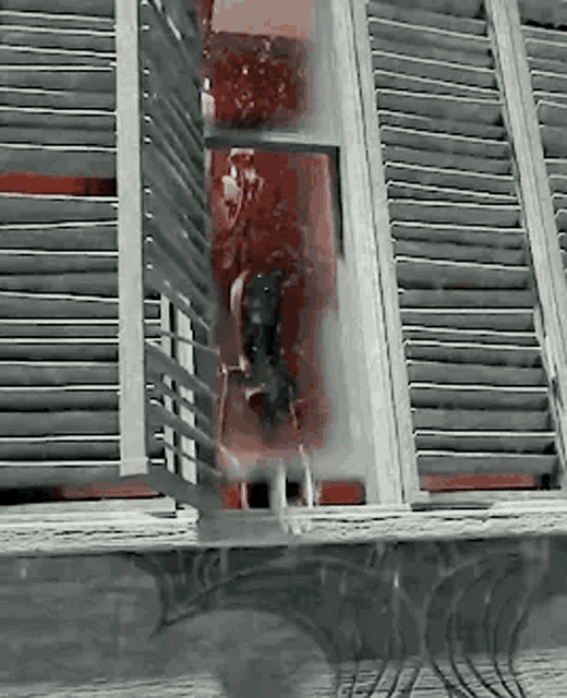 a cow is being slaughtered in a slaughterhouse with a reflection of the cow in the water .