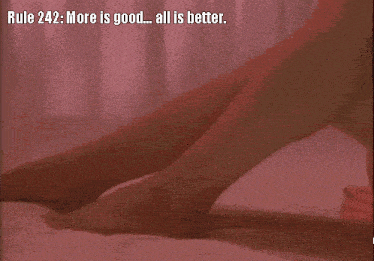 Rule 242 More Is Good All Is Better GIF