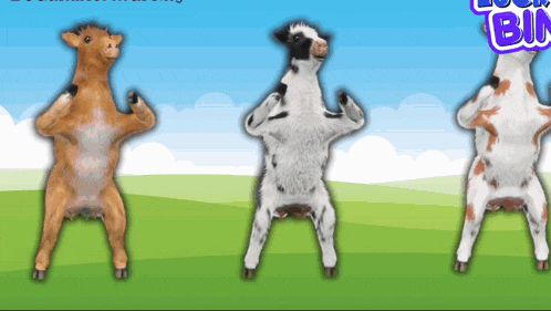 three cows are standing on their hind legs in a field with the words lock bin in the corner