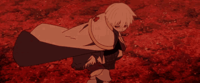 a cartoon character with a white cape and a red flower on his chest