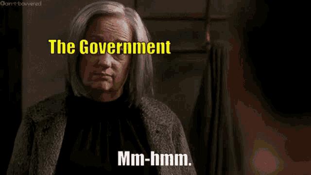 a woman with gray hair is standing in front of a window with the words `` the government mm-hmm '' written on her face .