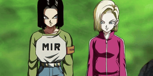 Int Androids 17 And 18 Android 17 GIF - Int Androids 17 And 18 Android 17 Android 18 GIFs