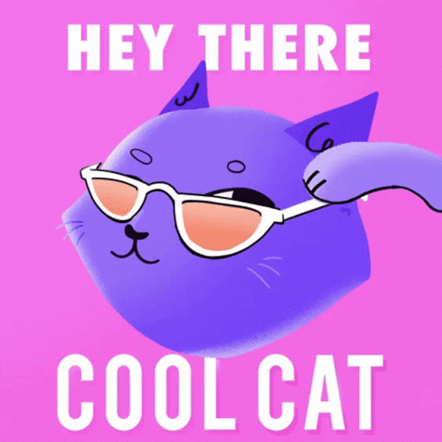 Cool Cat GIF - Cool Cat Fun GIFs