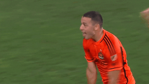 a soccer player in an orange shirt is standing on a field .