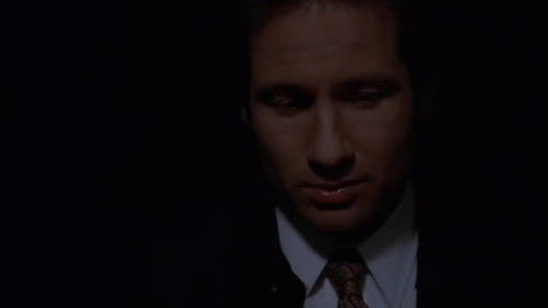 Thats An Interesting Word For It Lucky GIF - Thats An Interesting Word For It Lucky The X Files GIFs