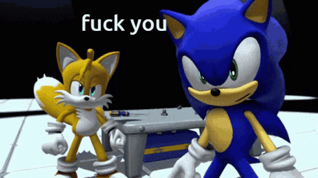 sonic the hedgehog and tails the fox are standing next to each other with the words fuck you behind them