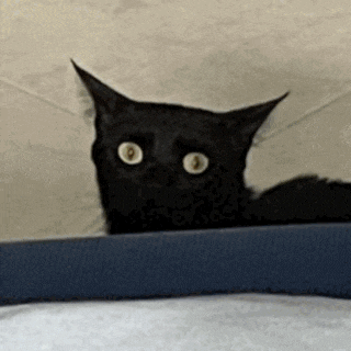 a black cat with white eyes is laying on a blue blanket