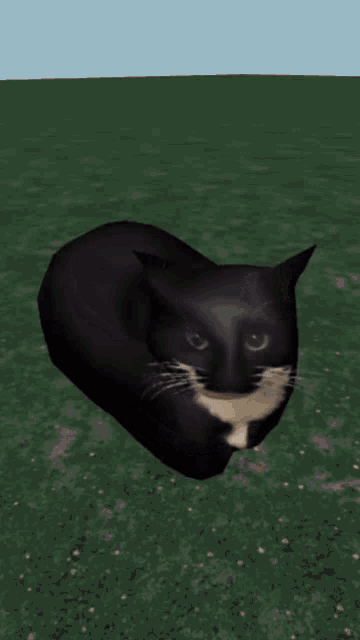 Maxwell Cat GIF - Maxwell Cat Meme GIFs
