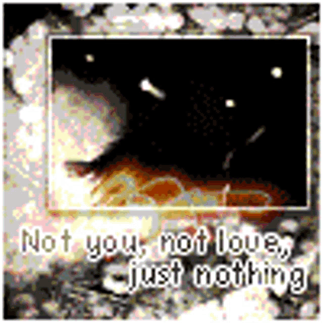 a black and white photo with the words `` not you , not love , just nothing '' .