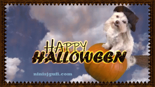 Halloween Happy Halloween GIF - Halloween Happy Halloween хеллоуин GIFs