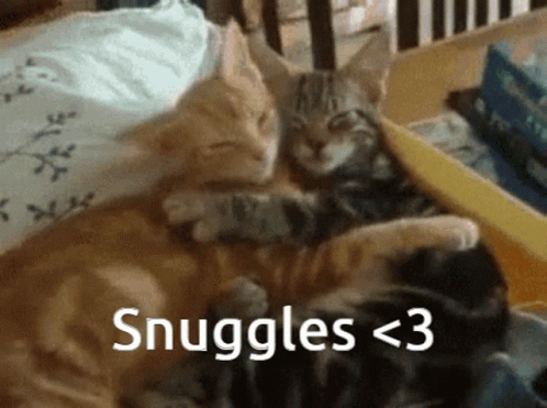Ollie And Lauren Cuddle Snuggles GIF - Ollie And Lauren Cuddle Snuggles I Cuddles You GIFs