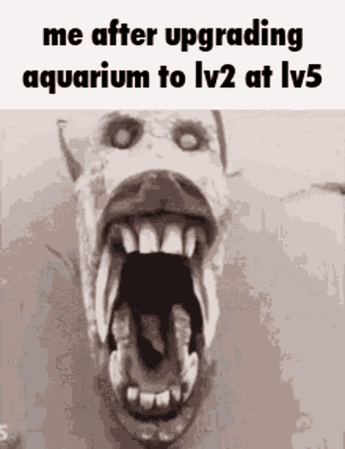 a picture of a monster with its mouth open and a caption that says me after upgrading aquarium to lv2 at lv5 .