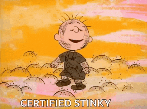 a cartoon of a boy dancing in a field with the words `` certified stinky '' .