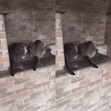 two cats are laying on a brick wall ledge