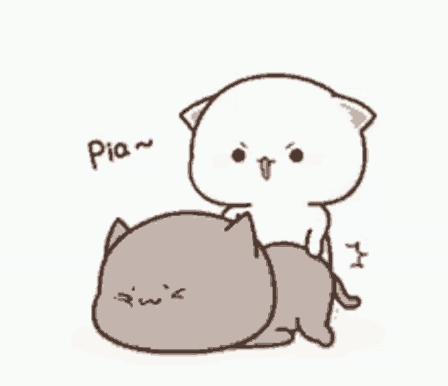 a white cat is petting a gray cat on its back .