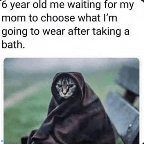 a cat wrapped in a blanket is sitting on a bench .