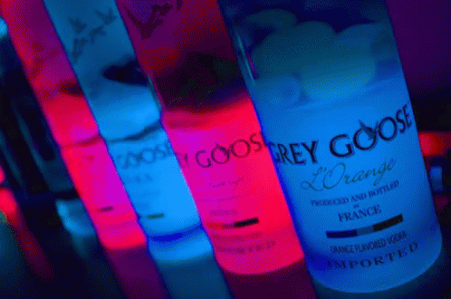 Grey Goose Alcohol GIF - Grey Goose Alcohol Party GIFs
