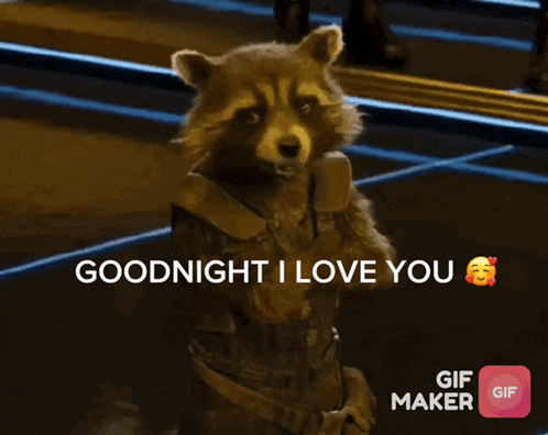 a picture of a raccoon with the words goodnight i love you